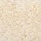 vidaXL - Trapmatten - 10 - st - 56x17x3 - cm - crèmekleurig