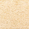 vidaXL - Trapmatten - 10 - st - 65x21x4 - cm - bruin