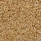 vidaXL - Trapmatten - 10 - st - 65x21x4 - cm - crèmekleurig