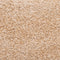 vidaXL - Trapmatten - 15 - st - 65x21x4 - cm - goudkleurig