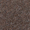 vidaXL - Trapmatten - 15 - st - anti-slip - rechthoekig - 75x20 - cm - bruin