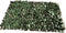 vidaXL - Trellissen - 5 - st - met - kunstbladeren - 180x60 - cm - wilgenhout