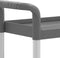 vidaXL - Trolley - 3-laags - 77x34x72 - cm - aluminium - grijs