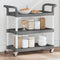 vidaXL - Trolley - 3-laags - 77x34x72 - cm - aluminium - grijs