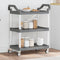 vidaXL - Trolley - 3-laags - 81x41x92 - cm - aluminium - grijs