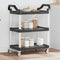 vidaXL - Trolley - 3-laags - 81x41x92 - cm - aluminium - zwart