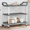 vidaXL - Trolley - 3-laags - 99x50x96 - cm - aluminium - grijs