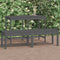 vidaXL - Tuinbank - 2-zits - 159,5x44x45 - cm - massief - grenenhout - grijs
