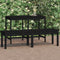 vidaXL - Tuinbank - 2-zits - 159,5x44x45 - cm - massief - grenenhout - zwart