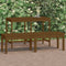 vidaXL - Tuinbank - 2-zits - 159,5x44x45 - cm - massief - grenenhout - honingbruin