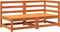 vidaXL - Tuinbank - 2-zits - massief - grenenhout - wasbruin
