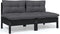 vidaXL - Tuinbank - 2-zits - met - kussens - massief - grenenhout - zwart