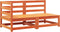 vidaXL - Tuinbank - 2-zits - met - kussens - massief - grenenhout - wasbruin