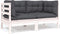 vidaXL - Tuinbank - 2-zits - met - kussens - massief - grenenhout - wit