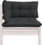 vidaXL - Tuinbank - 2-zits - met - kussens - massief - grenenhout - wit