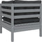 vidaXL - Tuinbank - 2-zits - met - kussens - massief - grenenhout - grijs