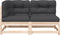 vidaXL - Tuinbank - 2-zits - met - kussens - massief - grenenhout