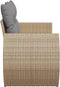 vidaXL - Tuinbank - 2-zits - met - kussens - poly - rattan - beige