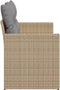 vidaXL - Tuinbank - 2-zits - met - kussens - poly - rattan - beige