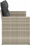 vidaXL - Tuinbank - 2-zits - met - kussens - poly - rattan - lichtgrijs