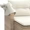 vidaXL - Tuinbank - 2-zits - met - luifel - en - voetenbanken - poly - rattan - beige