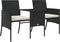 vidaXL - Tuinbank - 2-zits - met - tafel - en - voetenbanken - poly - rattan - zwart