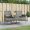 vidaXL - Tuinbank - 2-zits - met - tafeltje - poly - rattan - antracietkleurig