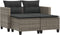 vidaXL - Tuinbank - 2-zits - met - voetenbanken - poly - rattan - grijs