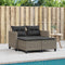 vidaXL - Tuinbank - 2-zits - met - voetenbanken - poly - rattan - grijs