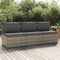 vidaXL-Tuinbank-3-zits-met-kussens-poly-rattan-grijs