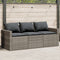 vidaXL - Tuinbank - 3-zits - met - kussens - poly - rattan - grijs