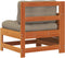 vidaXL - Tuinbank - met - armleuning - en - kussen - massief - grenenhout - wasbruin