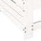 vidaXL - Tuinbank - met - armleuning - en - kussen - massief - grenenhout - wit