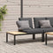 vidaXL - Tuinbank - met - kussens - aluminium - zwart
