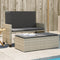 vidaXL - Tuinbank - met - kussens - en - voetenbank - poly - rattan - lichtgrijs