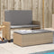vidaXL - Tuinbank - met - kussens - en - voetenbank - poly - rattan - beige