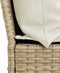 vidaXL - Tuinbank - met - kussens - poly - rattan - beige