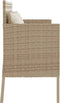 vidaXL - Tuinbank - met - kussens - poly - rattan - beige