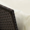 vidaXL - Tuinbank - met - kussens - poly - rattan - zwart