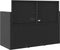vidaXL - Tuinbank - met - kussens - poly - rattan - zwart