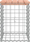 vidaXL - Tuinbank - schanskorfontwerp - 33x31x42 - cm - massief - douglashout