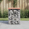 vidaXL - Tuinbank - schanskorfontwerp - 33x31x42 - cm - massief - douglashout