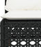 vidaXL - Tuinbank - zonder - armleuning - met - kussens - poly - rattan - zwart