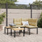 vidaXL - Tuinbanken - met - kussens - 2 - st - gepoedercoat - staal - zwart