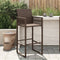 vidaXL - Tuinbarkrukken - 2 - st - poly - rattan - bruin
