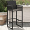 vidaXL - Tuinbarkrukken - 2 - st - poly - rattan - zwart