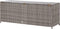 vidaXL - Tuinbox - 120x50x60 - cm - poly - rattan - grijs