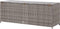 vidaXL - Tuinbox - 150x50x60 - cm - poly - rattan - grijs
