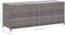 vidaXL - Tuinbox - 150x50x60 - cm - poly - rattan - grijs