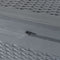 vidaXL - Tuinbox - 180 - L - PP - rattan - grijs
